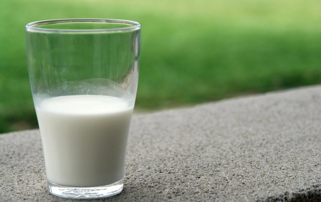 Simple Protein Shake Recipe With Creatine