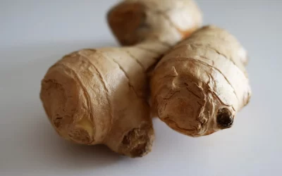Ginger – The Root Spice