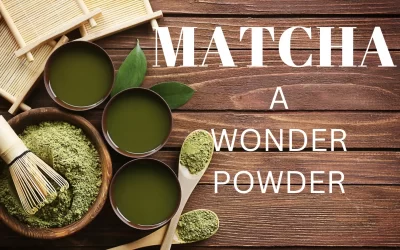 MATCHA – what is it