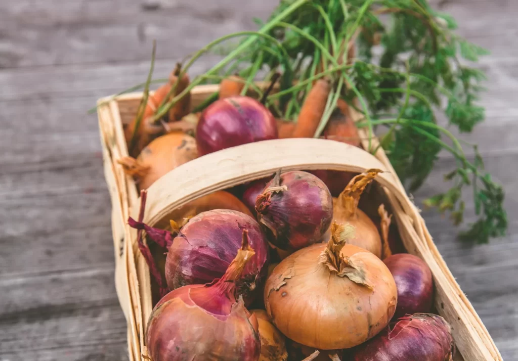 10 Worst Foods For Acid Reflux The Ultimate NoNo List 2024